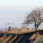 Bannstein