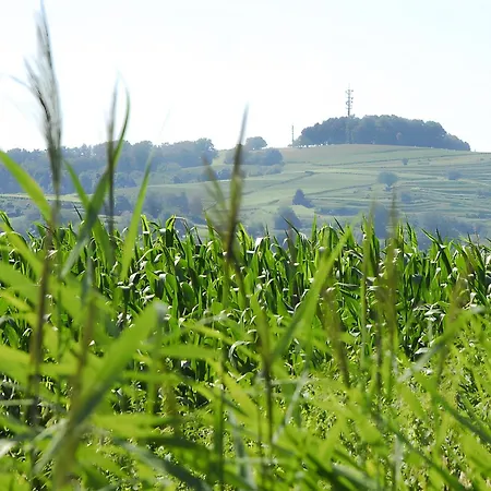 Bannstein アパート