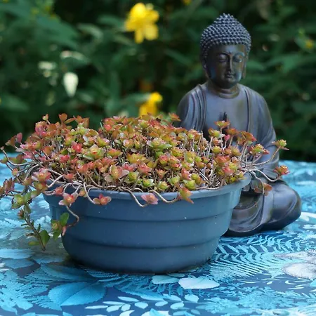 アパート Bannstein ラール